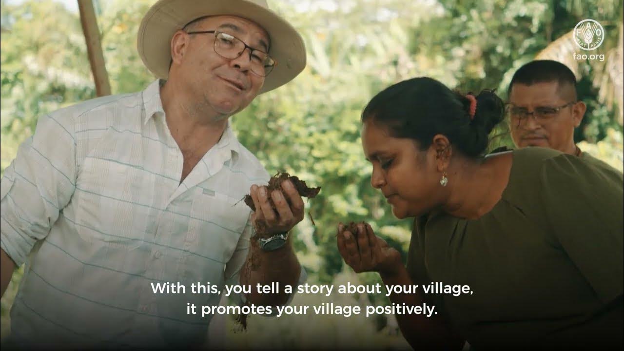 notcalvinklein's tweet card. 🍍 Supporting Pineapple Farmers in Suriname