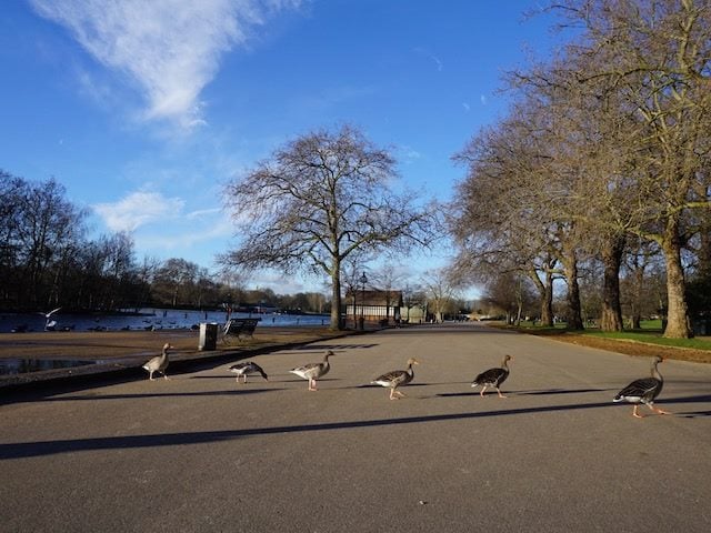 jmmoran12's tweet card. Every business wants to keep the cost of acquiring new customers down and the total lifetime value of that customer high. So how can they do it?