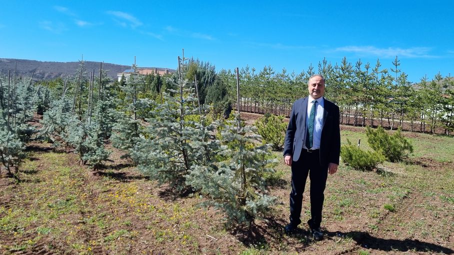 MathildeGracia's tweet card. Pour tenter de rendre les arbres plus résistants au dérèglement climatique, la Turquie et la France ont engagé une collaboration entre scientifiques et offices des forêts.