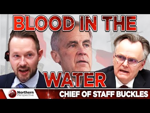 SpyderShell's tweet card. Carney’s Chief of Staff Crumbles, Contradicts, and Collapses With...