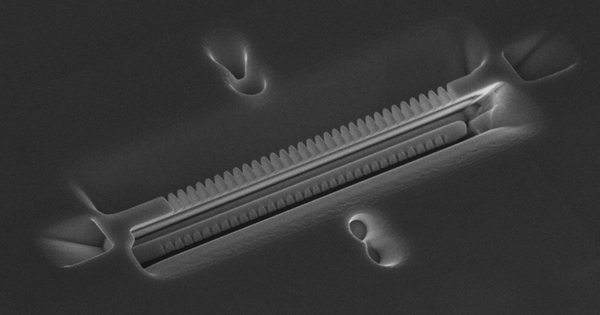 Fidesol's tweet card. Un equipo de la universidad de Granada ha demostrado que un átomo puede mover un pistón mecánico, abriendo un camino tecnológico que podría revolucionar el aprovechamiento de la energía