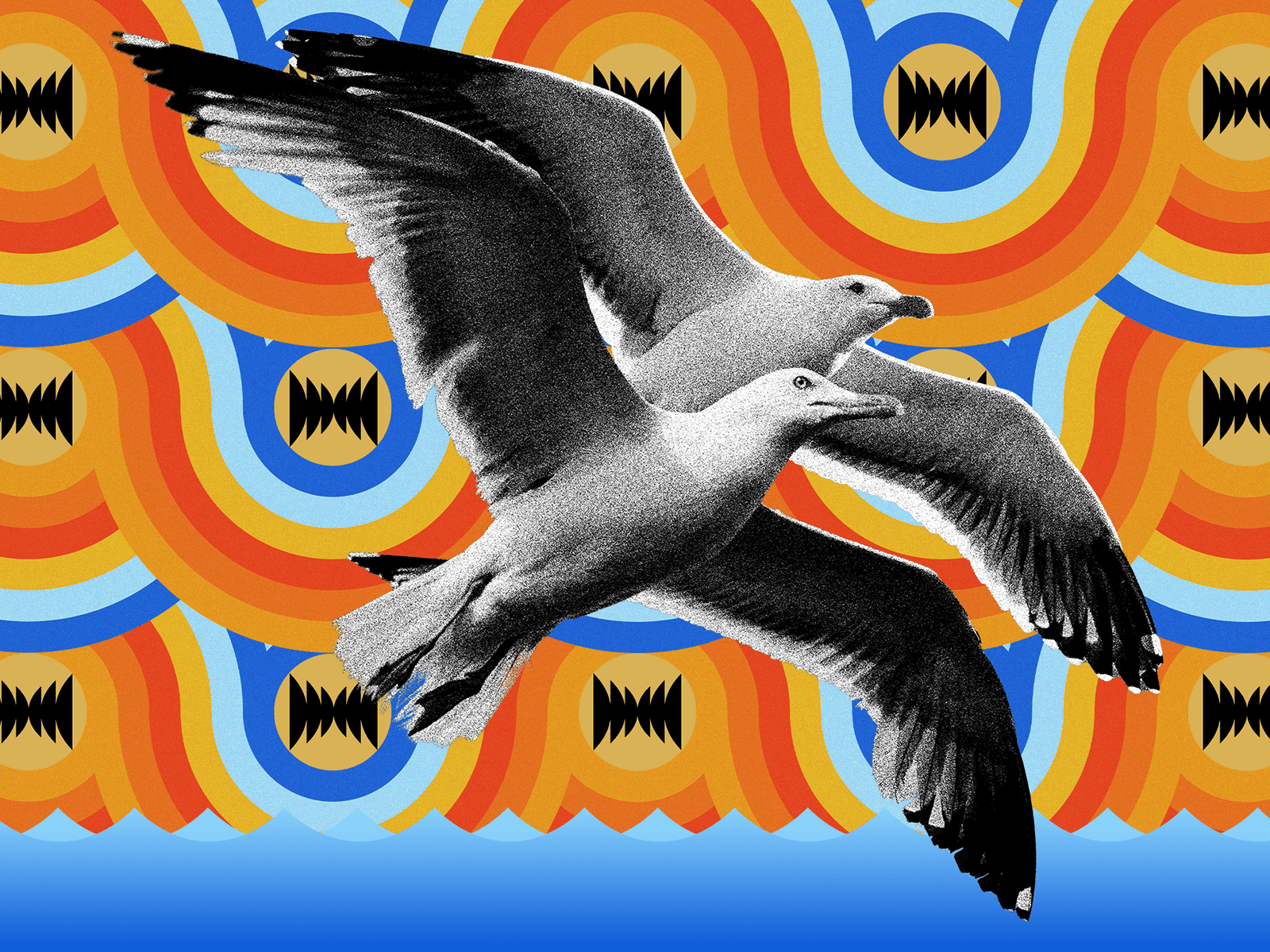 elizhargrave's tweet card. How a study about seagulls from the 1970s rocked our understanding of what’s natural in animals... and in us.