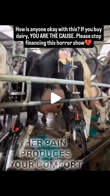 RavenTW's tweet card. Trish Raven (@raventw) • Instagram reel