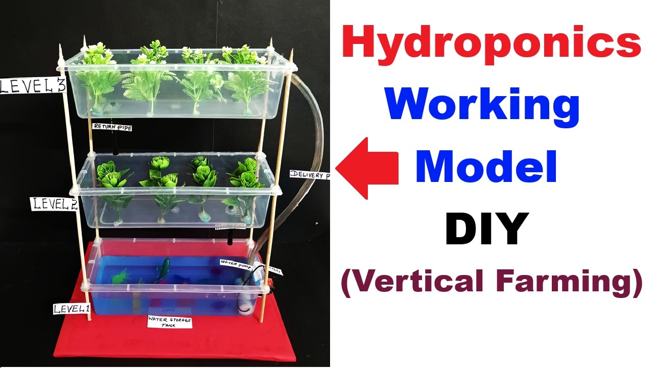howtofunda's tweet card. hydroponics working model - vertical farming - science exhibition...