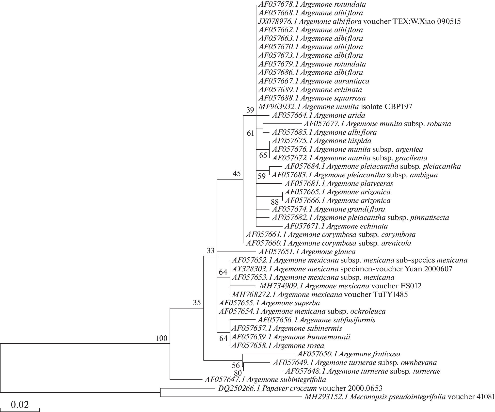 CytGen's tweet card. Cytology and Genetics - The analysis of nucleotide sequences of the Argemone genus samples by bioinformatics methods was aimed at the study of phylogenetic relationships of species within the...