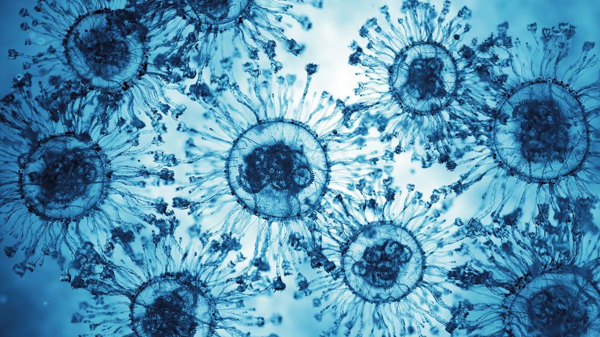 boxjudge's tweet card. The new COVID-19 variant, Stratus, is driving cases in the U.S. Learn how contagious it is, common symptoms, vaccine protection, and where cases are rising.