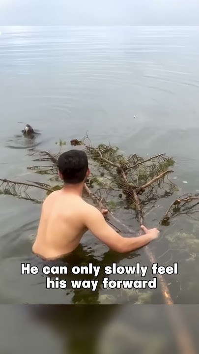 lalakala778's tweet card. This little koala is crying under a tree, its family nowhere in sight.