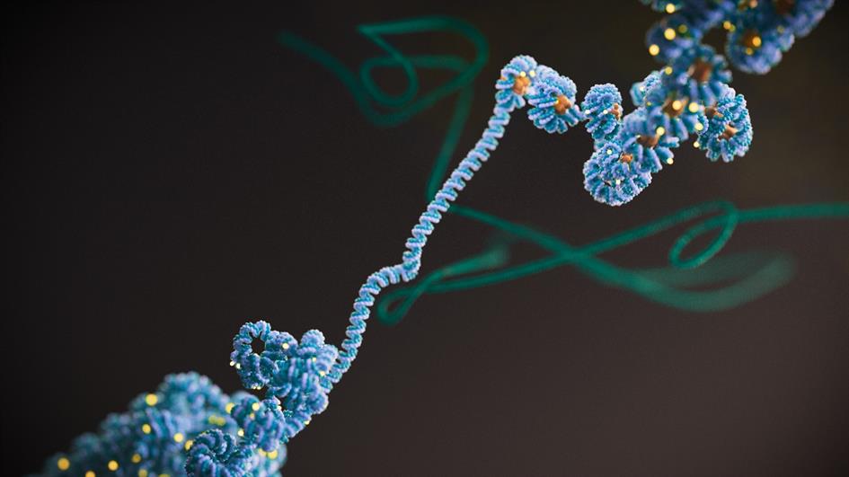 danvzla's tweet card. Aging, that inevitable march towards senescence, has puzzled and intrigued scientists for centuries. Traditionally, our understanding of aging has centered on wear and tear, with the belief that our...