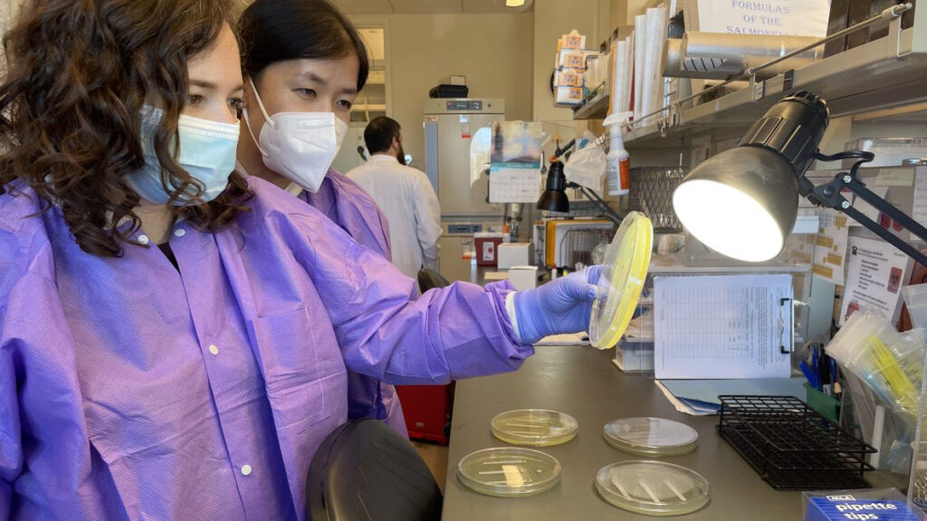 SolidEvidence's tweet card. Members of the CDC's Epidemic Intelligence Service were warned Friday that many of them were about to be fired