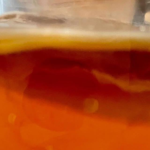 Catnipkombucha's tweet card. Jaz (@catnip_and_kombucha) • Instagram photo