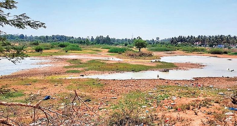 TheLakeRoadGuys's tweet card. BENGALURU:  A lake, which has become dry and is being treated as a dump yard, is now on the verge of being lost. Halanayakanahalli Lake, spread across 78.97 hec