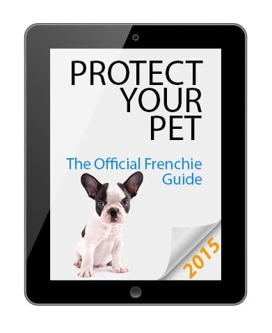 FrenchieAddict's tweet card. WHAT YOU GET : ) Find out which foods are safe, and which foods to avoid. Find out which common house plants can actually be deadly.  Learn how to Frenchie Proof your home, both inside and out. ...