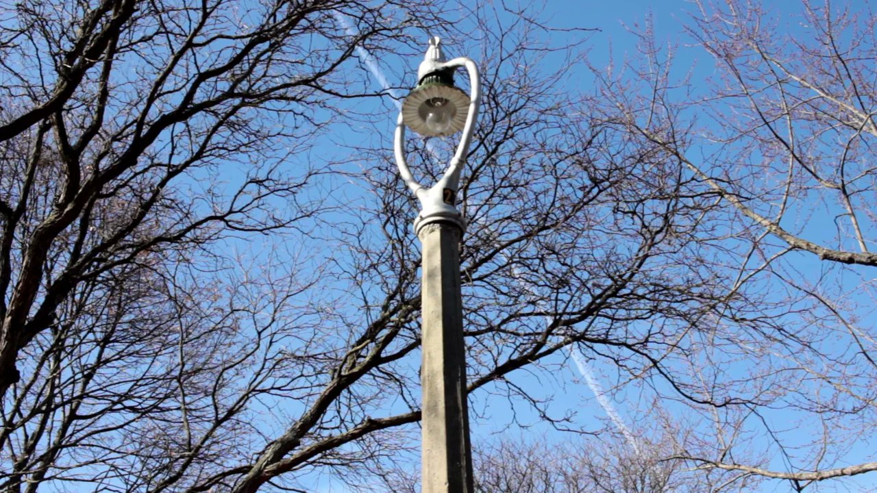 FastForwardRoc's tweet card. A Light Conversation