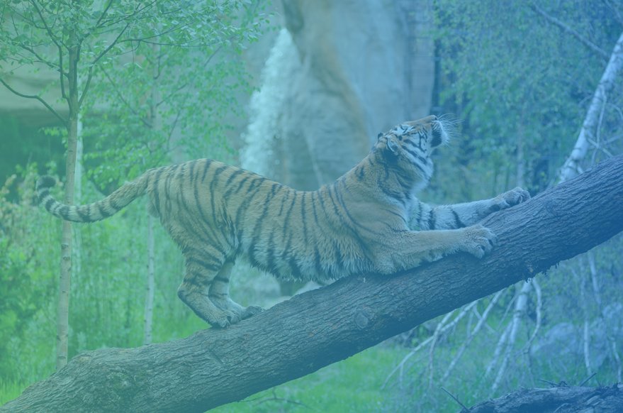 SoftwareLigre's tweet card. It is not always necessary to spend money to reach your goals. What type of qualitative research project can you complete using only LiGRE's free features? The LiGRE team has looked into this...