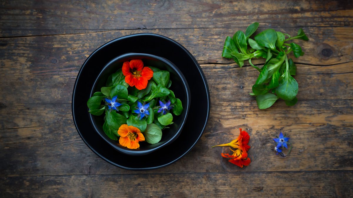 ThrivabilityOrg's tweet card. Why more of us are swerving meat and dairy and happily going herbivore.