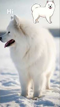 KimLeyva's tweet card. #DreamScreenAI