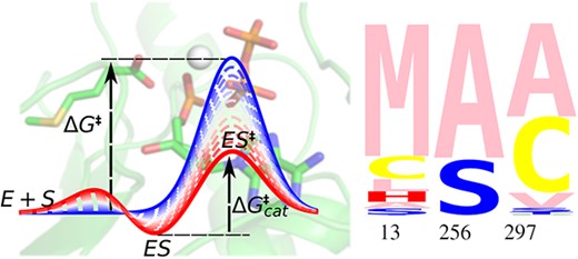 ProtEngDesSel's tweet card. Abstract. Enzyme design is an important application of computational protein design (CPD). It can benefit enormously from the additional chemistries provid