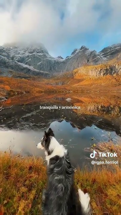 CarolBrott6n's tweet card. #pazinterior #naturaleza #poderinterior #gentebuena