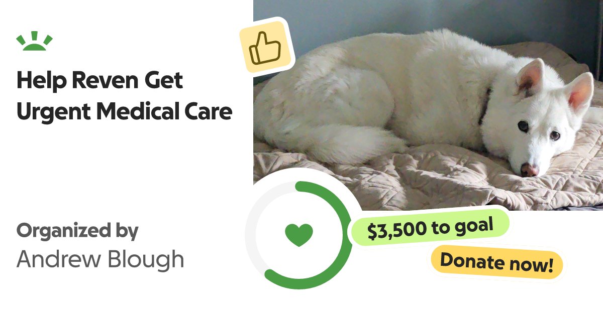 Andrew70974427's tweet card. Help Reven, Our Senior Husky, Get Urgent Medical Care Meet Reven — a 12-y… Andrew Blough needs your support for Help Reven Get Urgent Medical Care