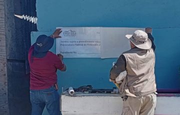 QuadratinY's tweet card. Se realizó la diligencia porque se detectaron afectaciones al ecosistema