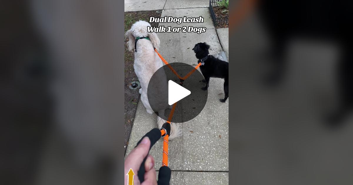 RecoveryID's tweet card. Check out Poochie Comedy | TTS Affiliate’s video.