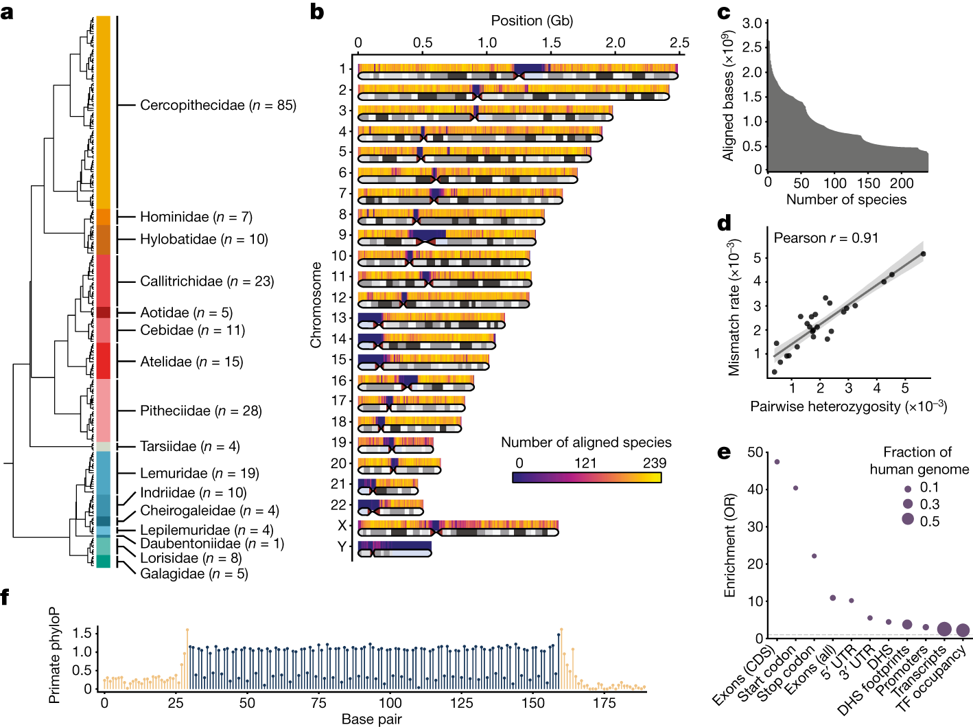 jsantoyo's tweet card. Nature - Whole-genome alignment of 239 primate species reveals noncoding regulatory elements that are under selective constraint in primates but not in other placental mammals, that are enriched...