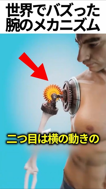 volcomdrayndog's tweet card. 腕の関節と筋肉のメカニズム