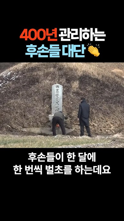 firelabs_'s tweet card. 400년 동안 관리한 후손들 대단 👏