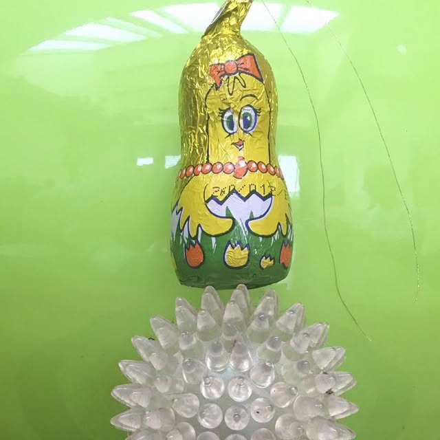 nefdt_nefdt's tweet card. Linnemore Nefdt (@linnemore) • Instagram photo