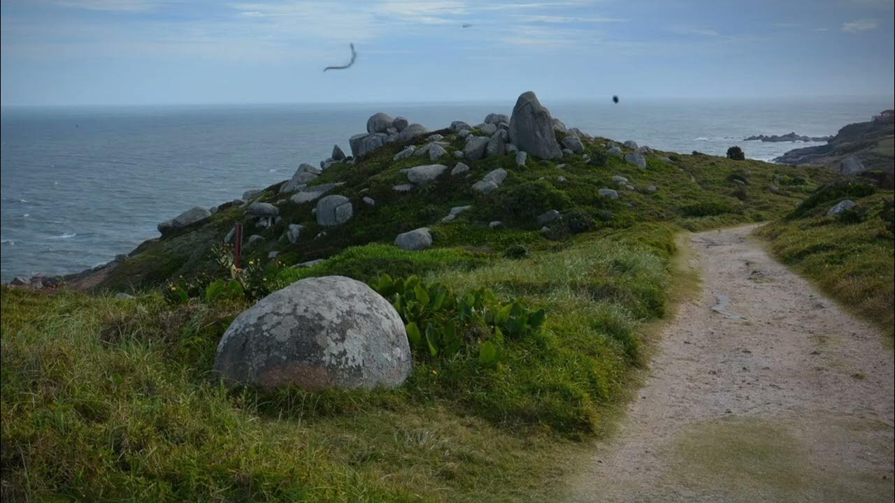 FillipyPirolla's tweet card. No tempo certo ♪ Querido Ser 🪽