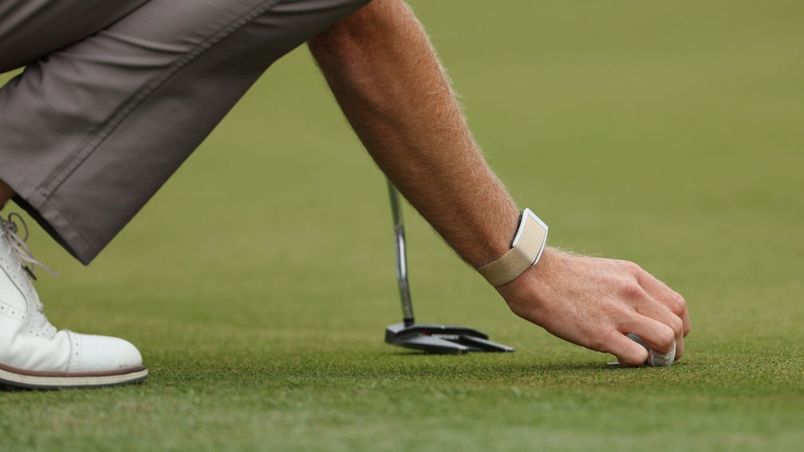 RTEbusiness's tweet card. WHOOP, a US wearable technology company has opened its new office in Limerick.