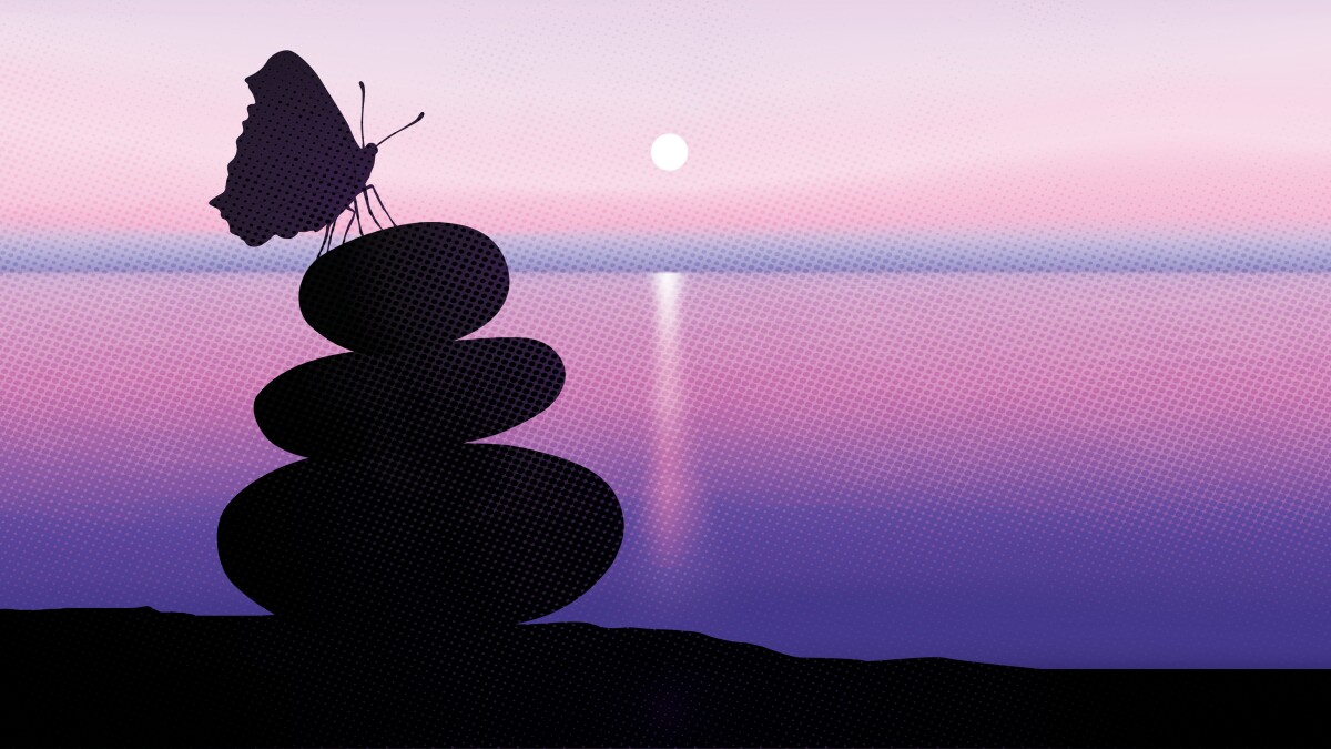 TransEducators's tweet card. What can schools do in the face of the extreme hostility trans and gender-nonconforming young people now face across the country?