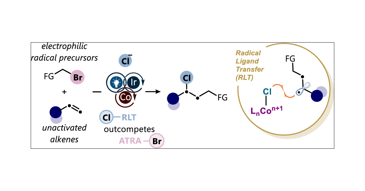 KatayevL's tweet card. The development of modular difunctionalization strategies for unsaturated hydrocarbons is of particular interest, as it enables access to complex building blocks in a single step. Although great...