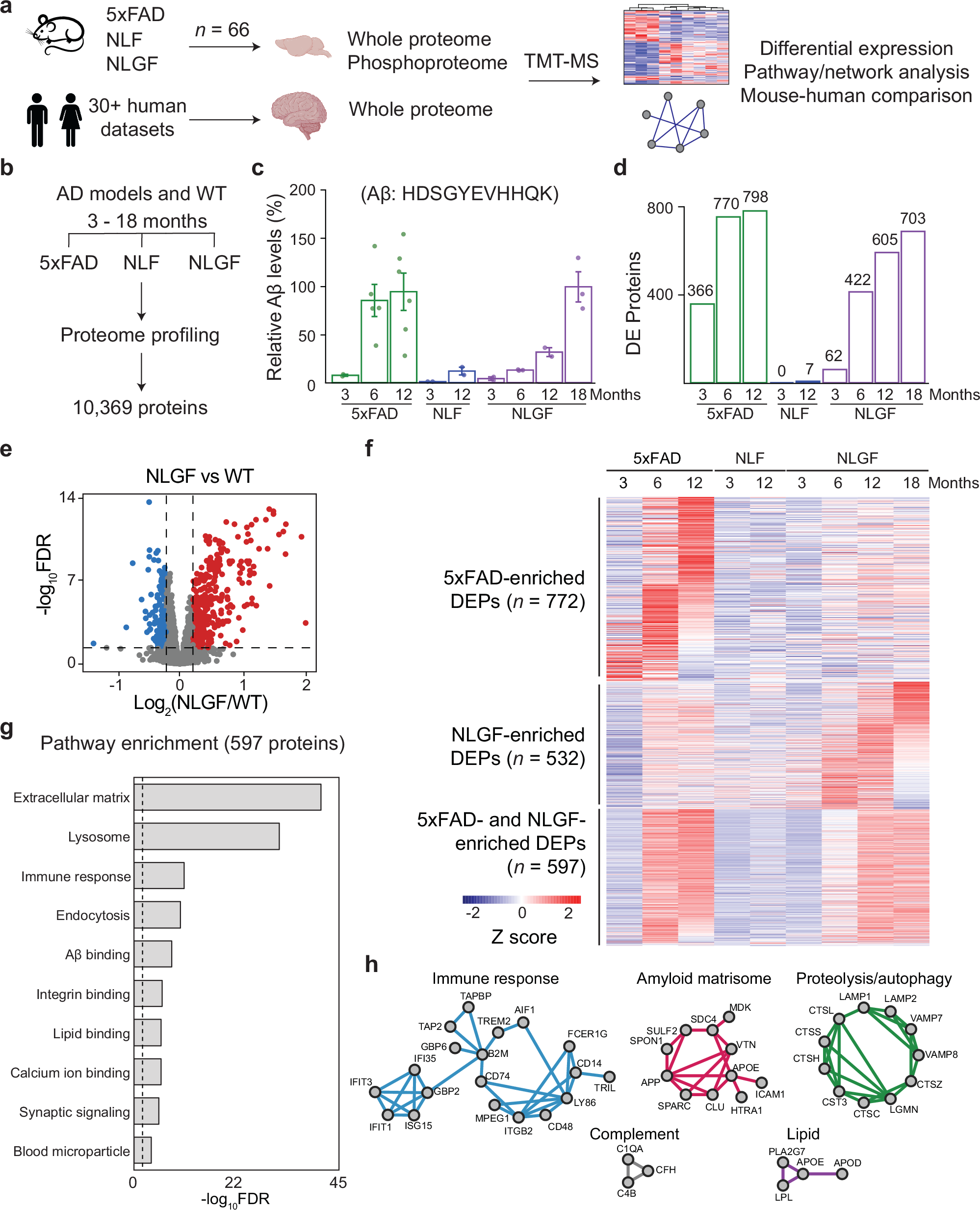 YarbroJay's tweet card. Nature Communications - This study maps proteomic changes in Alzheimer’s mouse models, identifying shared pathways with humans, amyloid-driven protein turnover, and proteome-transcriptome...