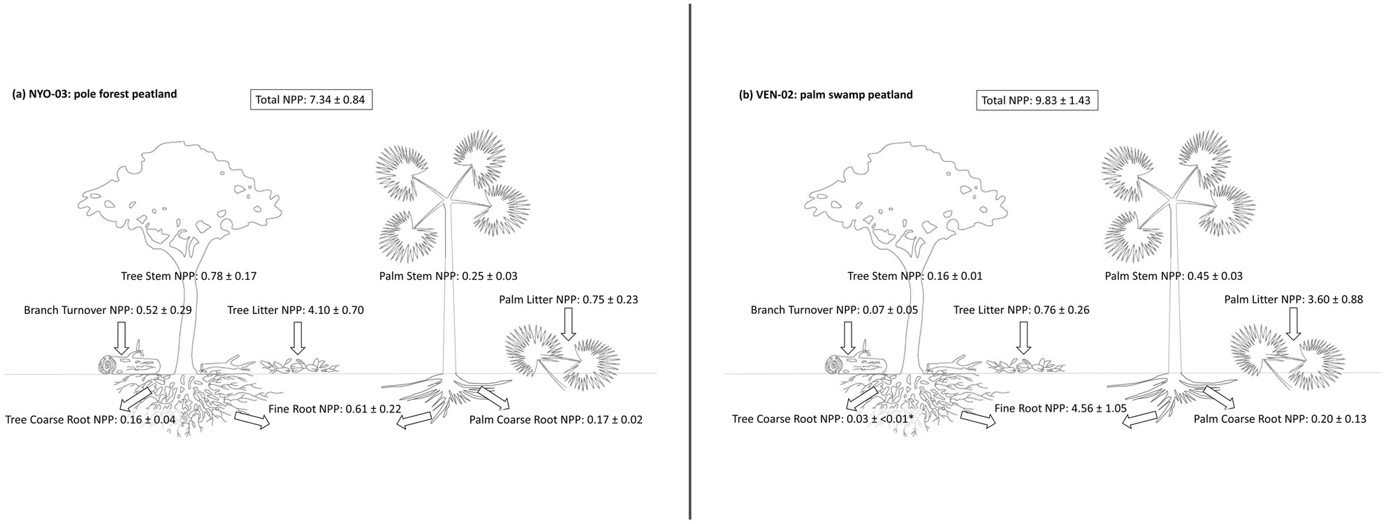 DargieGreta's tweet card. Our understanding of carbon cycling in tropical peatlands is limited by the lack of data on forest productivity and litter decomposition. Here we present measurements from two floristically distinct...