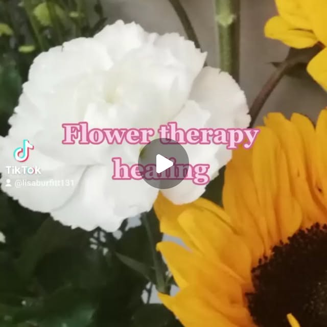 CalmRef's tweet card. Lisa Burfitt (@lisaburfitt) • Instagram video