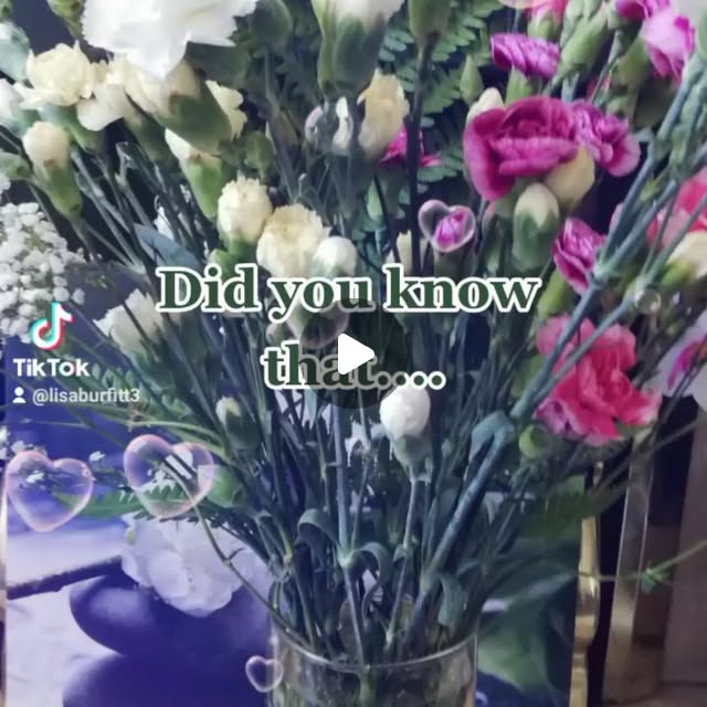 CalmRef's tweet card. Lisa Burfitt (@lisaburfitt) • Instagram video