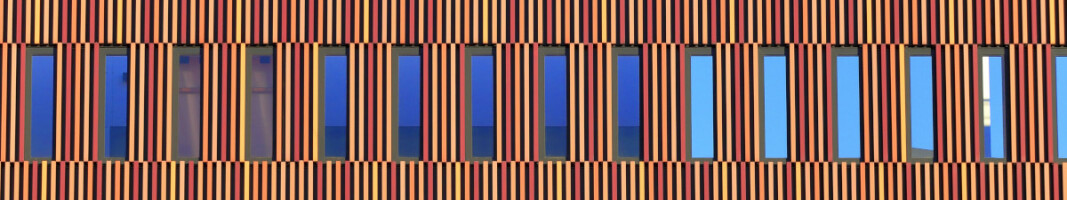 frankiethull's tweet card. The functional programming toolkit for R gains new capabilities for parallel processing and distributed computing using mirai.