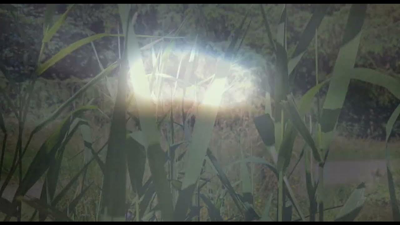 lfm_IDM's tweet card. Letters from Mouse - Frogspawn