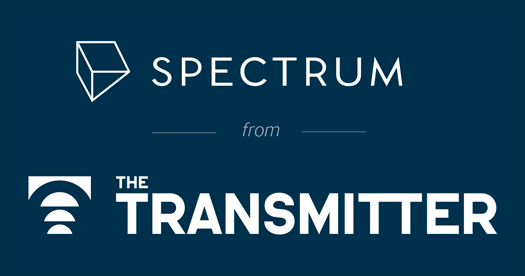 TheJoyProject's tweet card. Autism and anorexia may seem to have nothing in common, but below the surface, the two conditions are startlingly similar—and sometimes affect the same person.