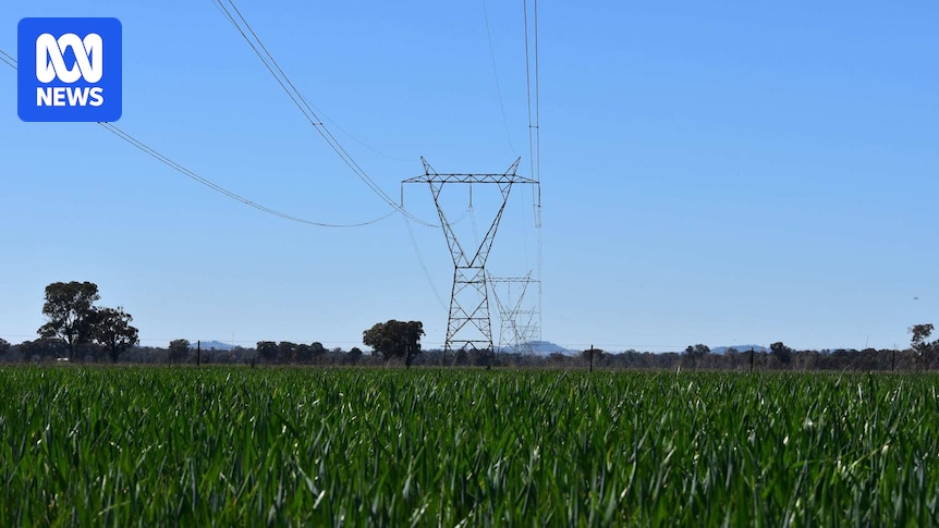 afm_aussie's tweet card. A solar farm proposed for Walla Walla has been approved by the NSW Independent Planning Commission, even as some in the community raise environmental impact concerns.