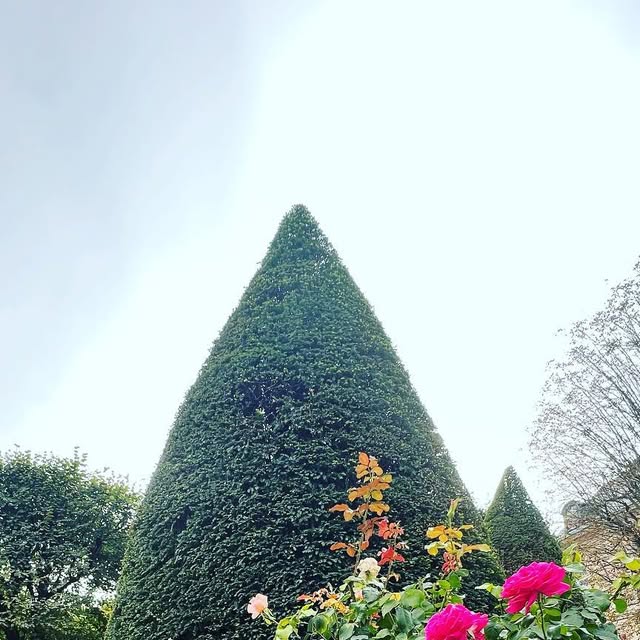 CurlsAreFun's tweet card. ZipzipTravelGuru (@zipziptravelguru) • Instagram photo