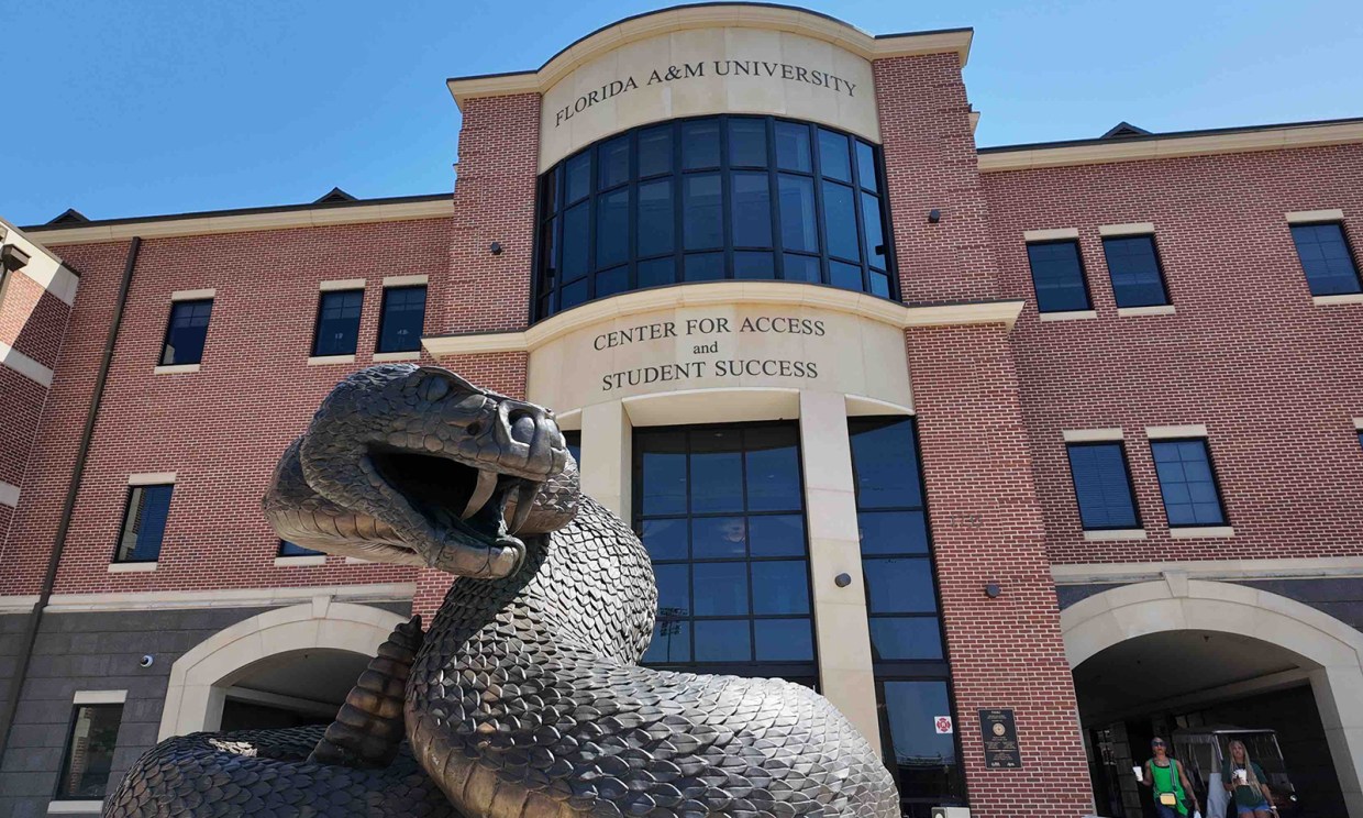 LRobinsonFAMU's tweet card. Ten of Florida A&M's 12 athletic teams have earned a multiyear APR of over 930, including a big jump for football. See all the Rattlers scores and learn more about APR here.