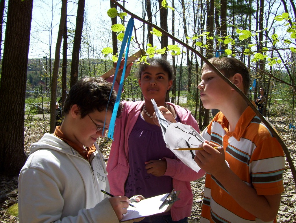 WildCora's tweet card. Social scientists find that collaboration with communication experts is key to easier and more impactful public engagement.
