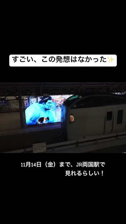 V1Vms's tweet card. すごい、この発想はなかった。11月14日（金）まで、JR両国駅で見れるらしい✨　#魔人力士 #funny #ItHappensonPS5...