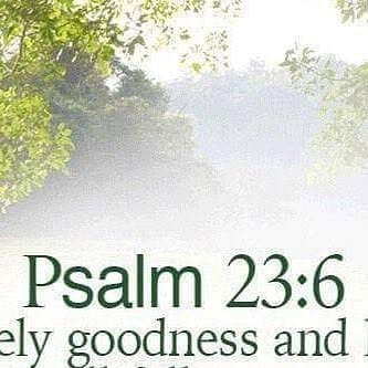 ForeignerUgo's tweet card. ⭐Ugoforeigner⭐ (@ugoforeigner) • Instagram photo