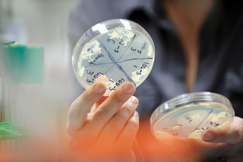 UWFlow's tweet card. Badger-led research strengthens communities, saves lives, and supports thousands of jobs. Learn why this work matters—and how you can support it.