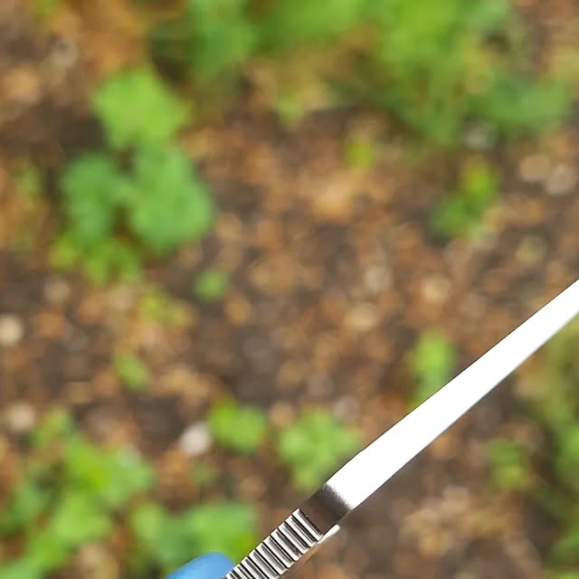 spydercollector's tweet card. thatspydercollector (@thatspydercollector) • Instagram photos and videos