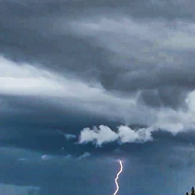 learningwperks's tweet card. Christine Perkin, Literacy & SoR in Middle School (@learningwithperks) • Instagram photos and videos