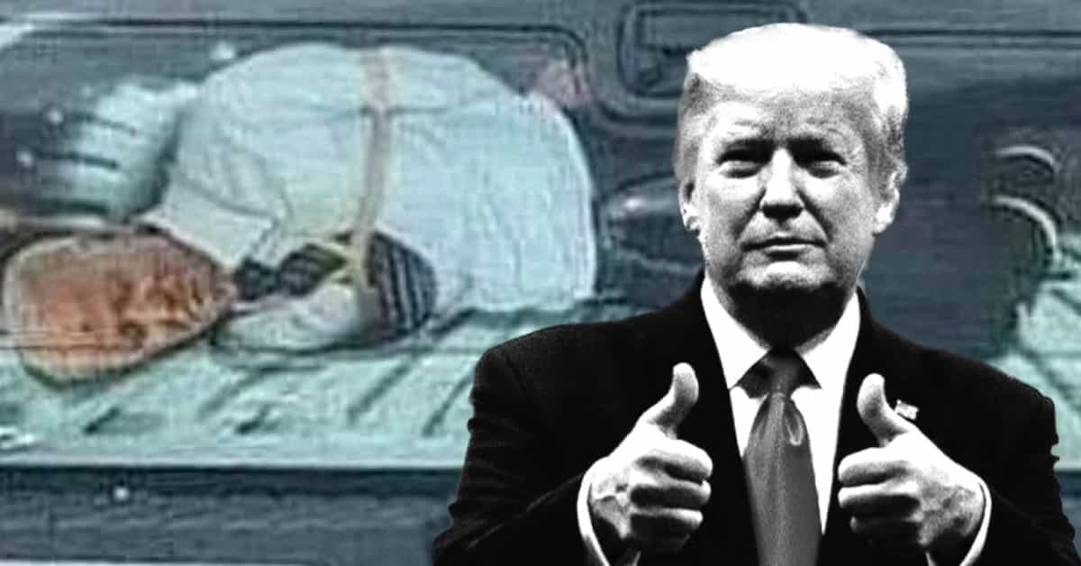 JoyceWhiteVance's tweet card. Trump signals approval of violent imagery targeting his political opponents